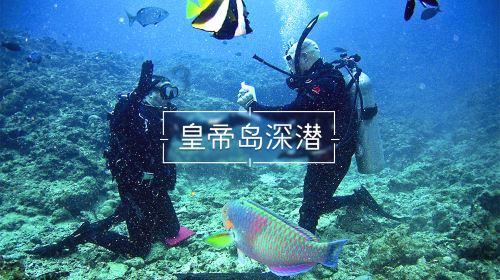 不设起付线!慢性肾衰血液透析治疗费用纳入慢特病门诊待遇,湖南医保详解